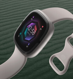 Google está eliminando poco a poco las cuentas de Fitbit. (Fuente de la imagen: Fitbit)