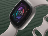 Google está eliminando poco a poco las cuentas de Fitbit. (Fuente de la imagen: Fitbit)