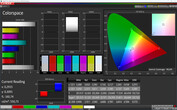Espacio de color CalMan (perfil: Auto, espacio de color objetivo: sRGB)