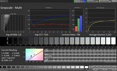 Escala de grises CalMAN