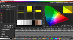 CalMAN ColorChecker calibrado