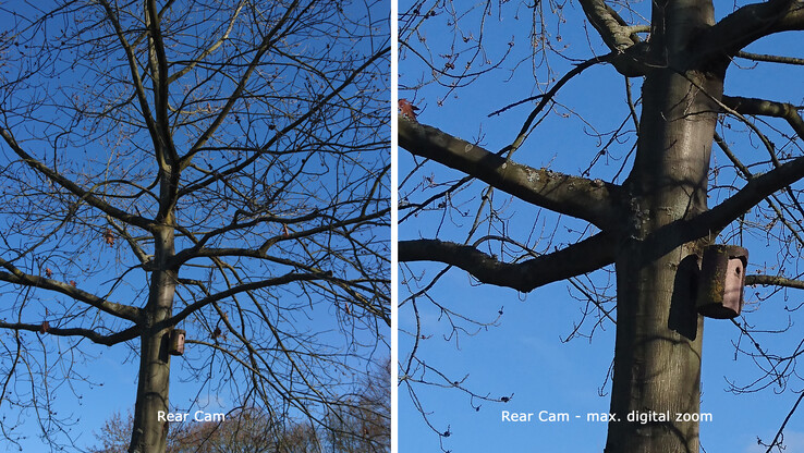 Comparación: sin zoom vs. zoom digital máximo (cámara principal)