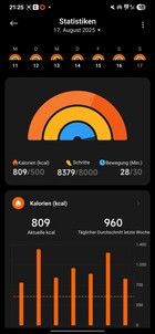 Xiaomi Smart Band 10 Actividad