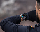 Queda por ver si Garmin incluirá nuevas funciones también para los smartwatches existentes, como el Fenix 8. (Fuente de la imagen: Garmin)