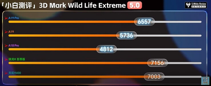 Vida salvaje extrema.