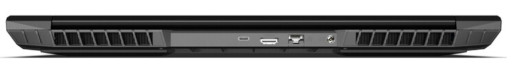 Parte trasera: alimentación, 2,5 Gbit (LAN), HDMI 2.1 (con HDCP 2.3), Thunderbolt 4/USB-C 4.0 Gen3 (DisplayPort 1.4a, compatible con G-SYNC, sin suministro de energía) (fuente de la imagen: Schenker)