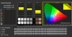 CalMan ColorChecker (Pantalla-P3)