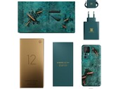 La Xiaomi 12T Pro Daniel Arsham Edition viene con una caja y accesorios a juego. (Fuente de la imagen: Xiaomi)