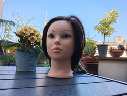 Imagen de la cámara frontal