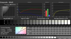 CalMAN: Escala de grises