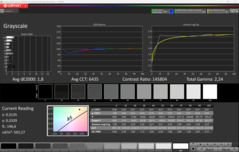 CalMAN Escala de grises
