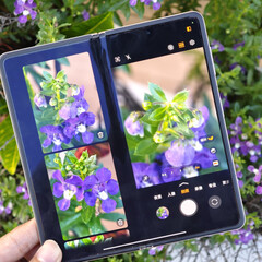 Todas las opciones de color del Magic V5, excepto una, miden 9 mm de grosor cuando están cerradas y pesan oficialmente 222 g. (Fuente de la imagen: Fenibook)