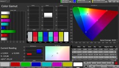 CalMAN espacio de color AdobeRGB