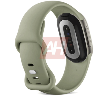 Borde de Fitbit en color oliva visto desde atrás