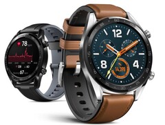 El Huawei GT 2 sigue recibiendo actualizaciones de software, a pesar de haber sido reemplazado por el Watch GT 2 Pro. (Fuente de la imagen: Huawei)