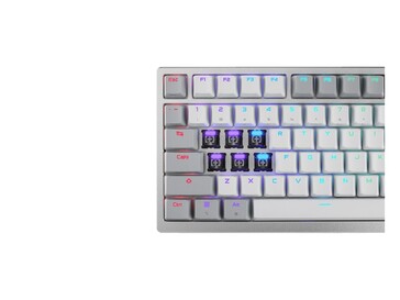También cuenta con iluminación RGB orientada al norte. (Fuente de la imagen: Asus)