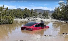 El FSD de Tesla llevó a este particular Model 3 a una tumba de agua. (Fuente de la imagen: Wham Baam Teslacam en YouTube)