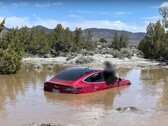 El FSD de Tesla llevó a este particular Model 3 a una tumba de agua. (Fuente de la imagen: Wham Baam Teslacam en YouTube)