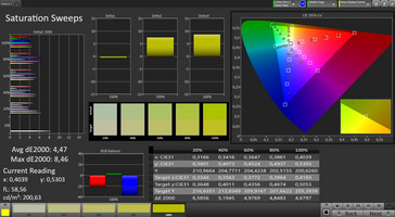 CalMAN: Saturación de color – espacio de color de objetivo sRGB