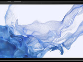 La Galaxy Tab S8 Plus podría contar con una pantalla OLED de 12,4 pulgadas (Fuente de la imagen: SamMobile)