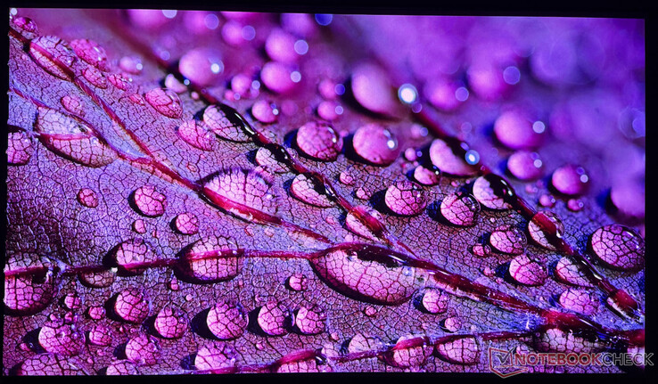 El iPhone 16 Pro utilizado sólo puede captar de forma limitada la calidad de imagen del Aetherion Max.