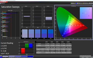 CalMAN: Saturación de color - espacio de color objetivo sRGB