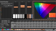 CalMAN: ColorChecker (calibrado)