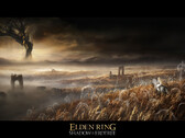 El primer gran DLC de Elden Ring, Shadow of the Erdtree, podría lanzarse pronto (imagen vía FromSoftware)
