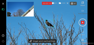 La pantalla de la aplicación para la autocaptura de aves (Fuente de la imagen: Marc Zander / Notebookcheck)