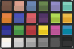 ColorChecker Passport: color de referencia en la mitad inferior.