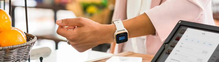 La función Garmin Pay (mostrada arriba) se renombrará como Garmin Wallet. (Fuente de la imagen: Garmin)
