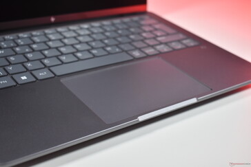 HP ZBook Ultra G1a: Panel táctil