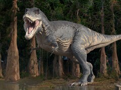 La vida en la Tierra habría sido muy diferente si los dinosaurios no se hubieran extinguido. (Fuente de la imagen: ROGER HARRIS/SCIENCE PHOTO LIBRARY)