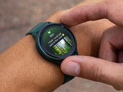 Algunos usuarios del smartwatch de Garmin no recibían vibraciones para las notificaciones tras una reciente actualización de la aplicación. (Fuente de la imagen: Garmin)