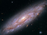 Una imagen que muestra la galaxia NGC 3972.