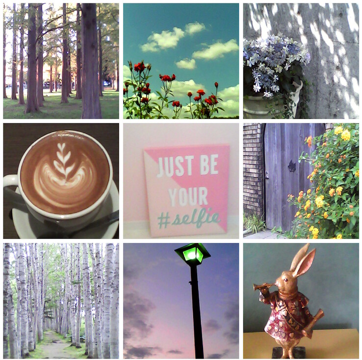 Fotos de ejemplo tomadas con la cámara de juguete Kenko Tokina Pieni II. (Fuente de la imagen: Kenko Tokina)