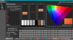 ColorChecker (vs. P3)