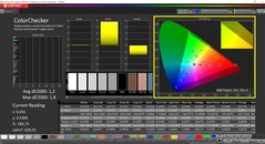 CalMAN ColorChecker calibrado (espacio de color de destino P3)