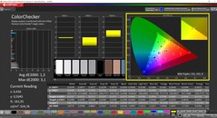 CalMAN ColorChecker (perfil: sRGB, espacio de color de destino: sRGB)