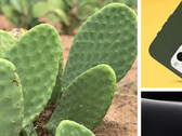 Cactus: ahora para proteger el smartphone. (Fuente: Otterbox)