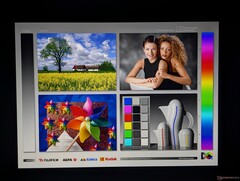 Amplios ángulos de visión IPS