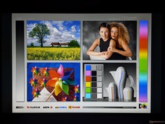 Amplios ángulos de visión IPS