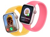 El Apple Watch recibe otra actualización de corrección de errores. (Fuente de la imagen: Apple)