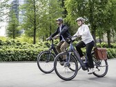La e-bike Diamant Mandara 160 Gen 3 puede soportar cargas de hasta 169 kg (~353 lbs). (Fuente de la imagen: Trek Bikes)