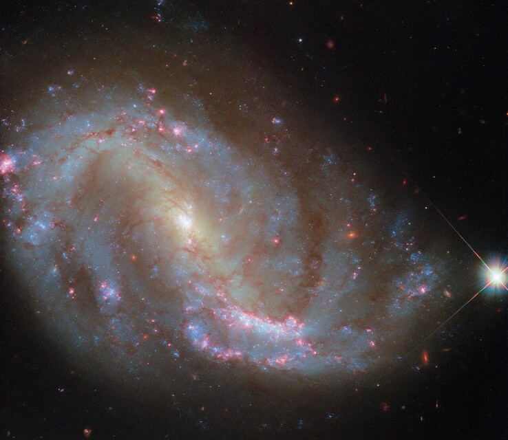 La imagen del Hubble de NGC 7496 (Fuente de la imagen: ESA/Hubble, NASA, R. Chandar, J. Lee y el equipo PHANGS-HST)