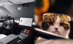 El interior de los coches está cambiando, sobre todo a peor. (Fuente de la imagen: Tesla/Unsplash)