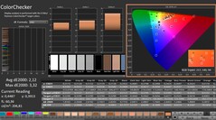 CalMAN: ColorChecker