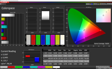 CalMAN: Espacio de color (True Tone activado, espacio de color objetivo sRGB)