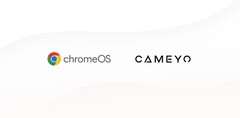 Google adquiere Cameyo (Fuente: Google Cloud Blog)