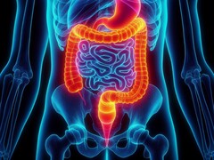 La ventilación enteral se ha probado con éxito en humanos por primera vez. (Fuente de la imagen: David_SMC vía Pixabay)